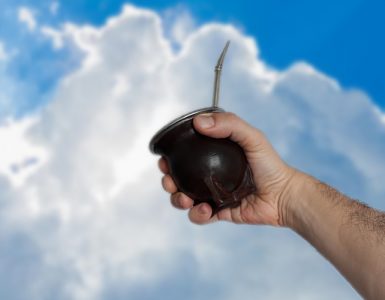 Yerba mate Health Benefits